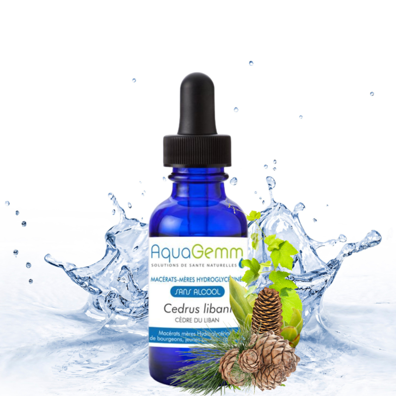 Cèdre du Liban Bio | Équilibre et Soin Cutané Animal