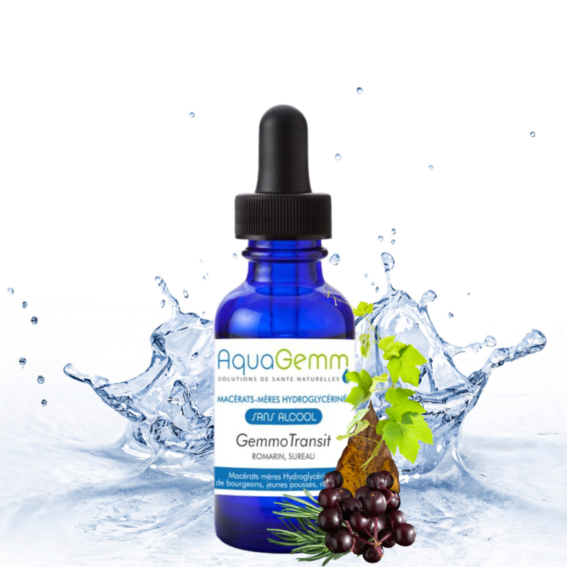 TRANSIT Complexe (Gemmo)