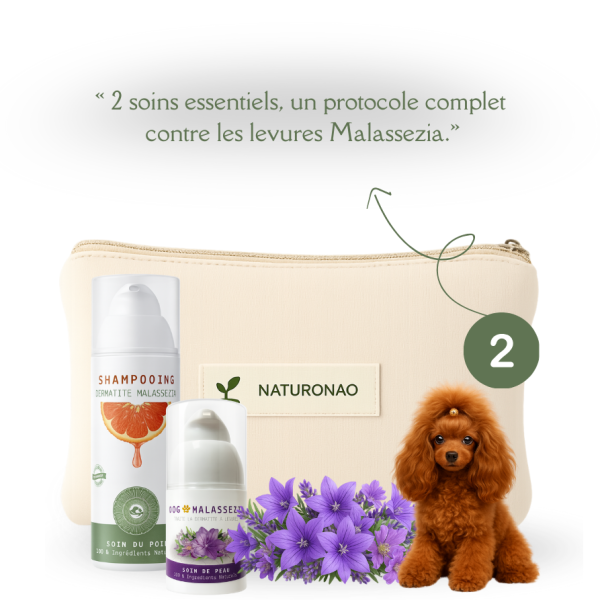 PACK MALAZEN™ (Chien)