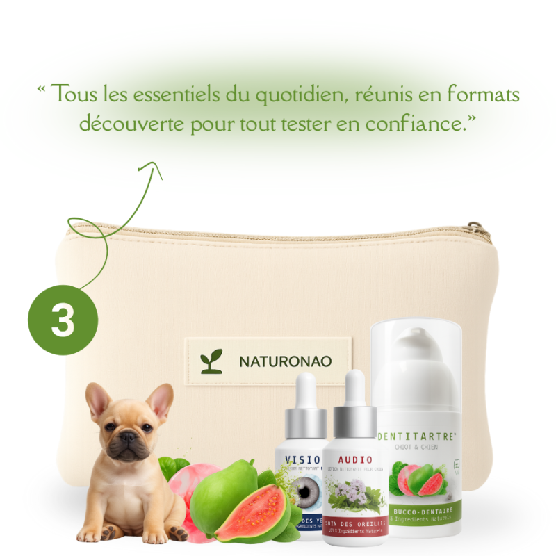 Animaux | Pack Découverte Format Mini