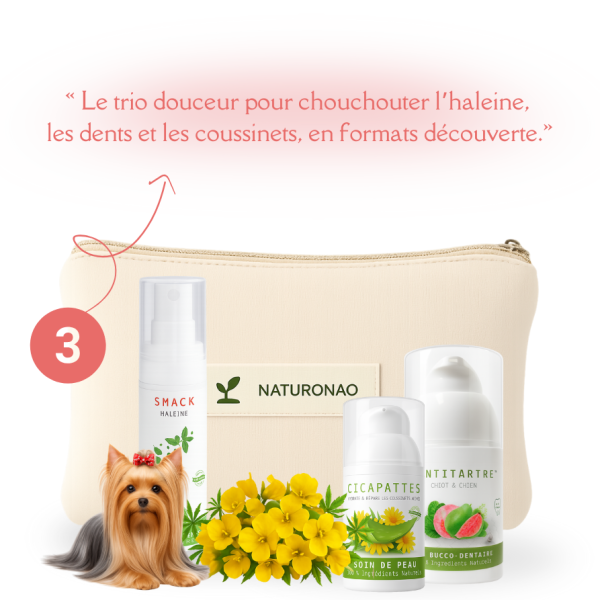 PACK DOUCEUR (Chien)