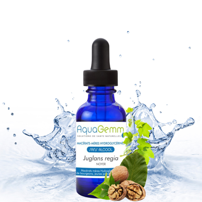 GINKGO Biloba (Gemmo)