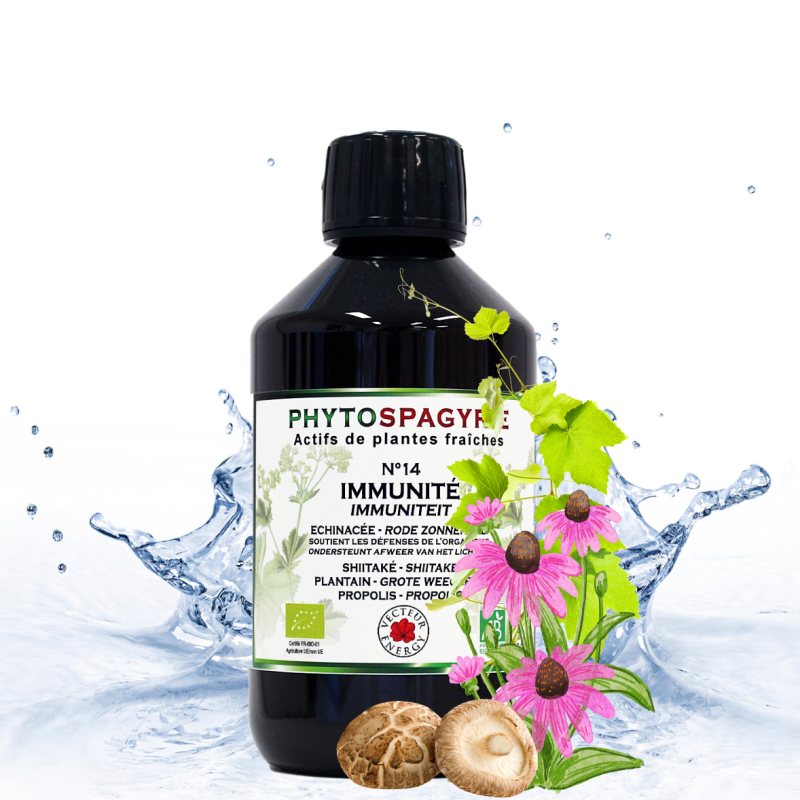 IMMUNITÉ – DÉFENSES BIO | Vecteur Energy