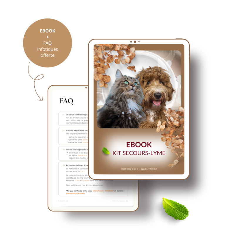LYME : Guide Pratique (Ebook)
