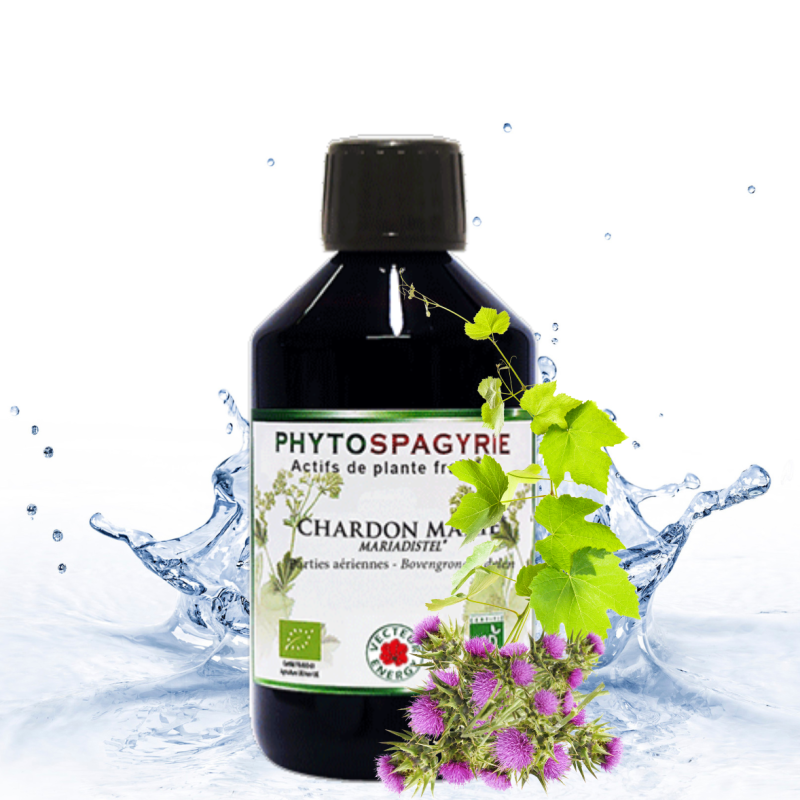 Chardon-Marie Bio Chien Chat | Vecteur Energy