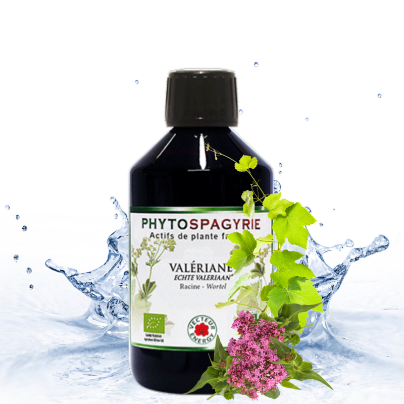 Valériane Bio Chien Chat - Complément Naturel Apaisant | Vecteur Energy