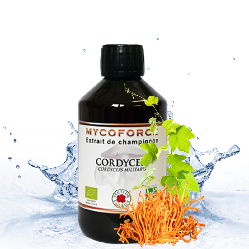 Cordyceps BIO MYCOFORCE Chien Chat | Vecteur Energy