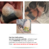 Photos avant/après de notre gel crème CICAPATTES. Hydrate en profondeur les coussinets asséchés de votre chien. Ultra efficace.