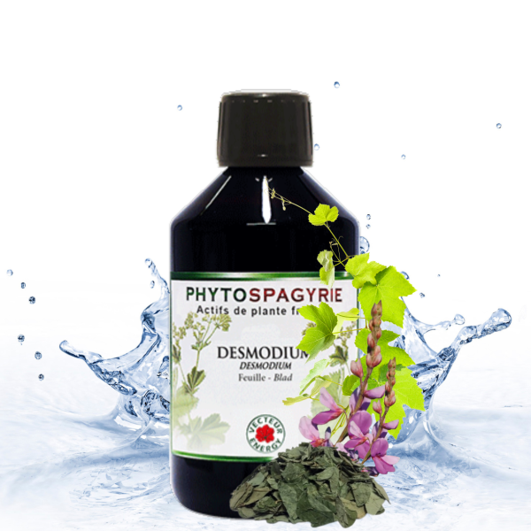 DESMODIUM Phytospagyrie (Bio)