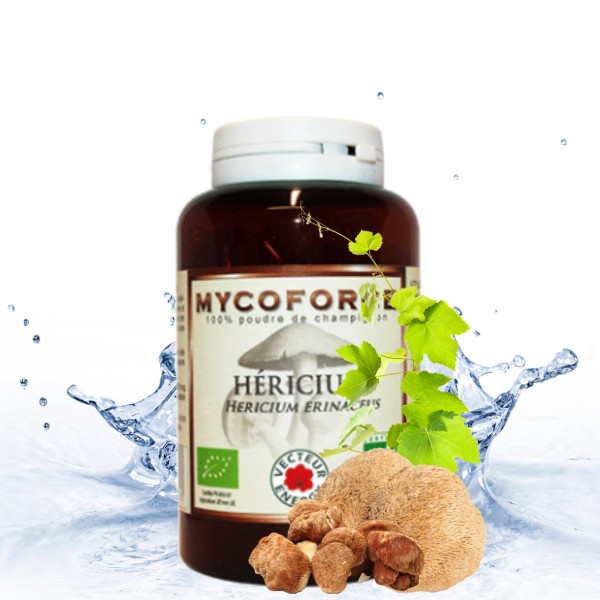 HÉRICIUM Mycoforce (Bio)