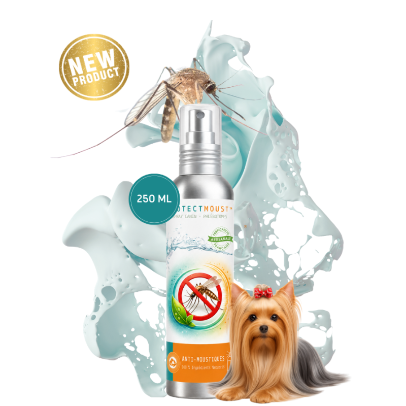 PROTECT Moust™ (Chien)