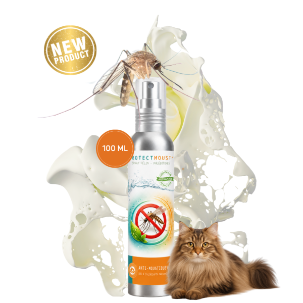 PROTECT Moust™ (Chat)