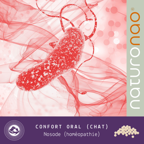 Confort Oral Félin (Gingivite)