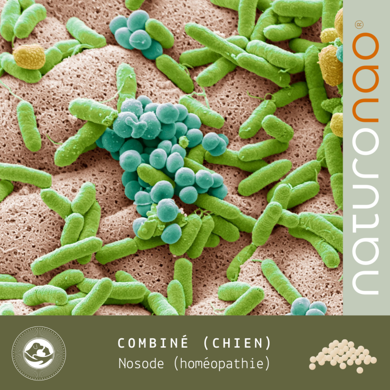 Nosode Combiné (Chien)