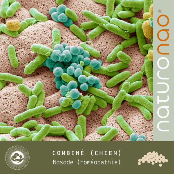 Nosode Combiné (Chien)