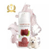 Shampooing artisanal HYPOALGO™ NaturoNao 200 ml, formule naturelle sans parfum pour chiens à peaux réactives.