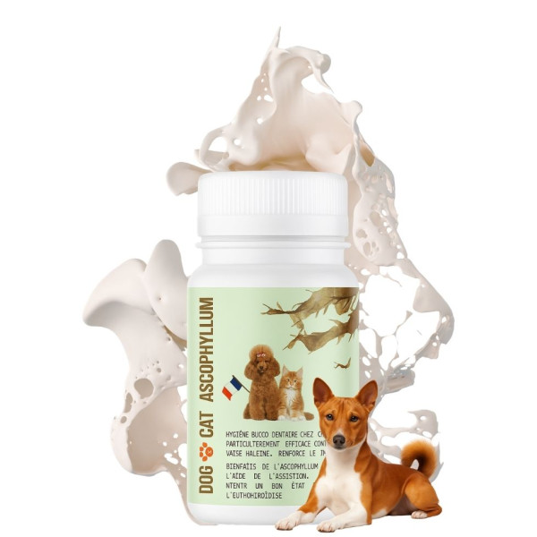 Poudre naturelle d'algue marine Ascophyllum Nodosum NaturoNao, idéale pour l'hygiène bucco-dentaire des chiens et des chats.
