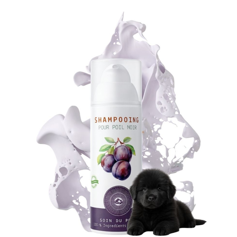 Shampooing artisanal NaturoNao au charbon activé pour la profondeur et l'éclat des poils noirs.