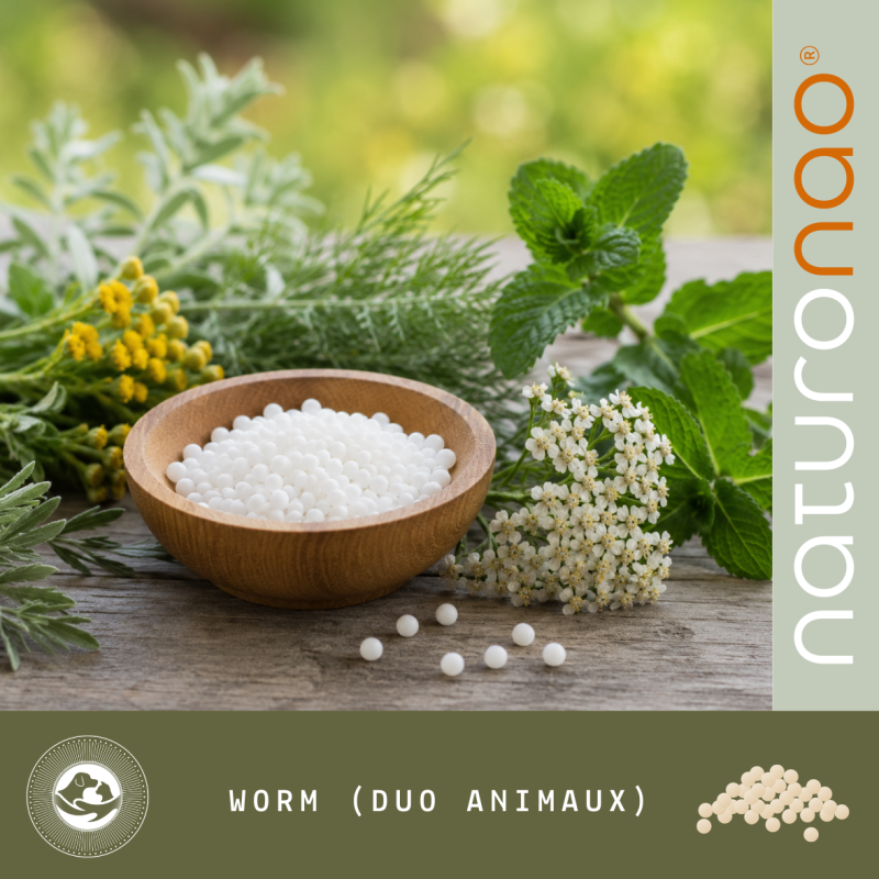 WORM Combo Duo (Globules)