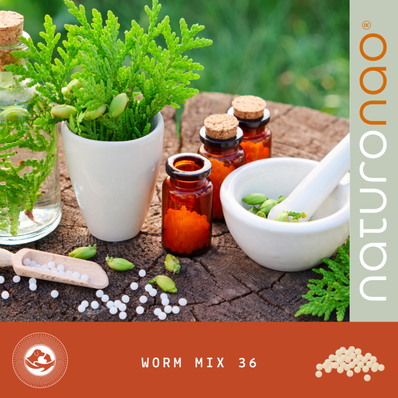 Worm Mix 36 (Granules) | Confort Digestif Famille Humain