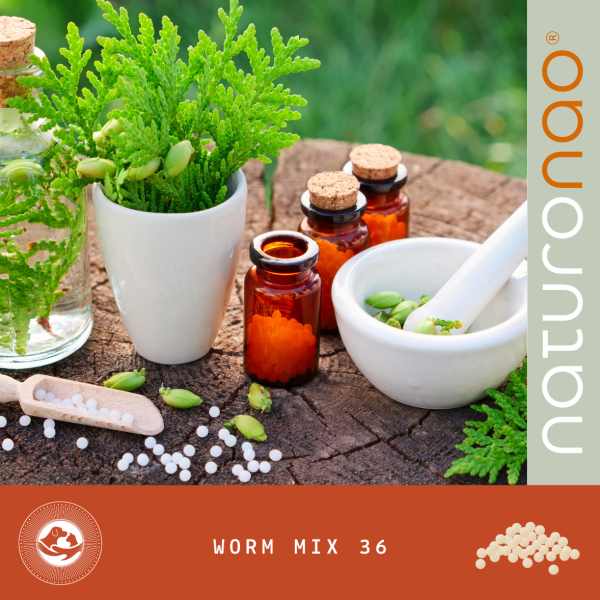 WORM Mix36 Humain (Globules)