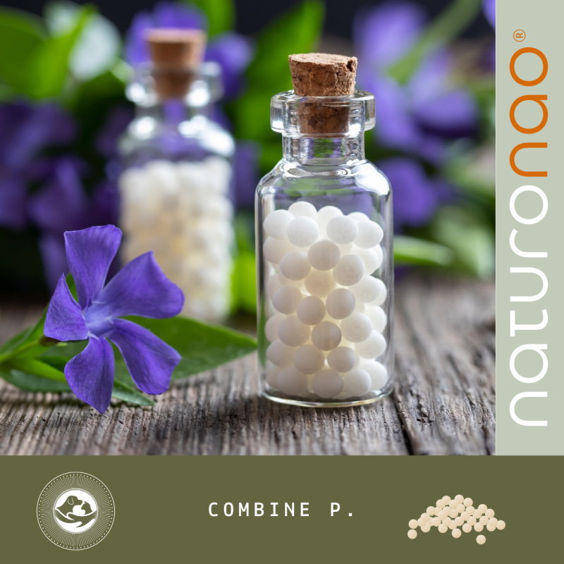 COMBINÉ P. Confort (Terrain)