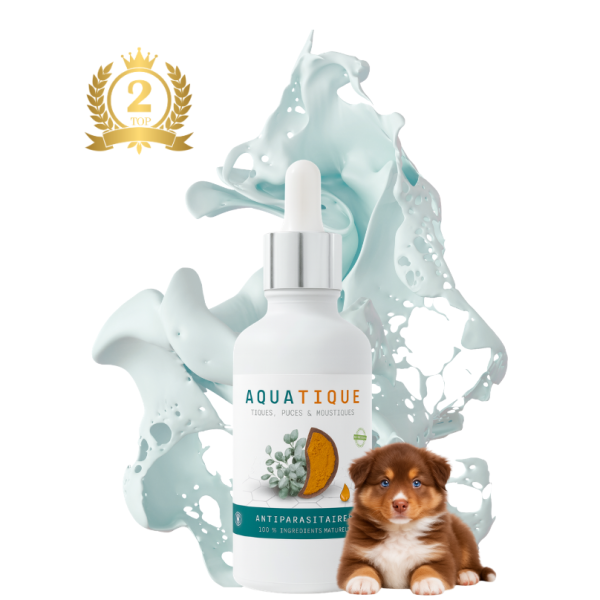 Huile de soin naturelle waterproof AQUATIQUE™ NaturoNao 50 ml, idéale pour accompagner le chien durant la saison des tiques.