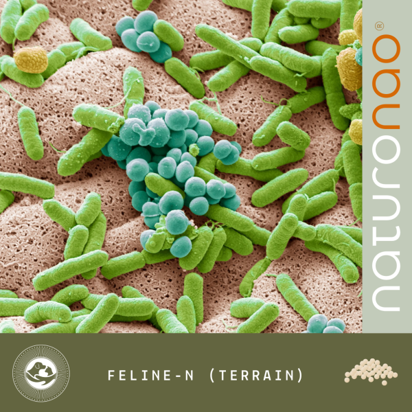COMBO Féline-N (Terrain)