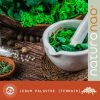 Accompagner son Animal en Nature | Ledum Palustre