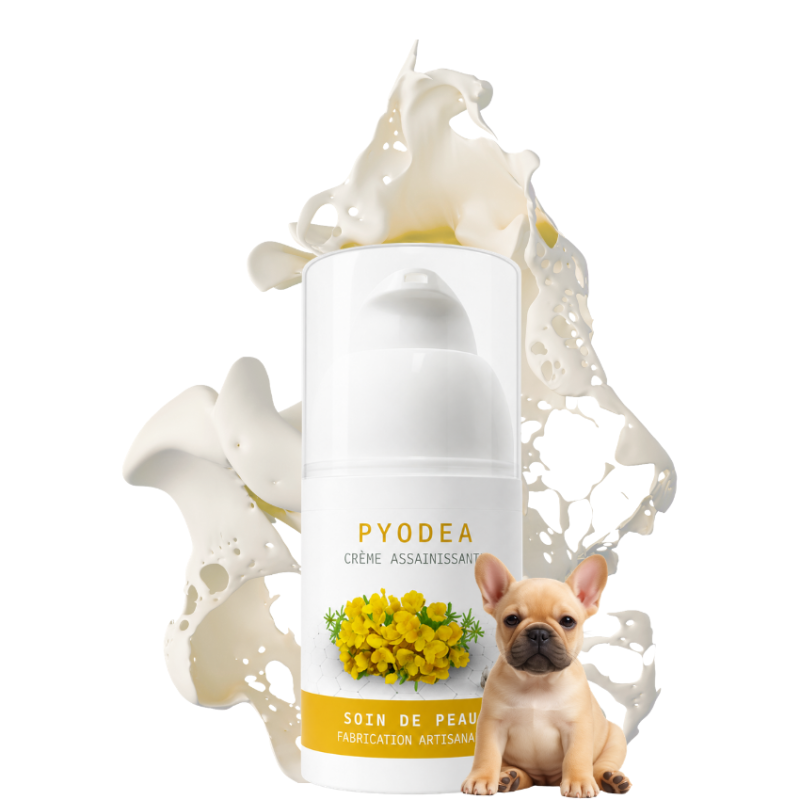 Crème PYODÉA™ | Pyodermite et Croûtes de Peau du Chien