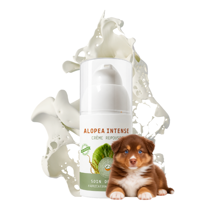 ALOPÉA™ Intense (Chien)