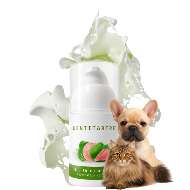 DENTITARTRE Hygiène (Animaux)