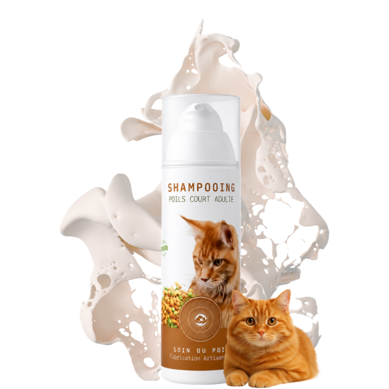 SHAMPOOING Poils Court (Chat)