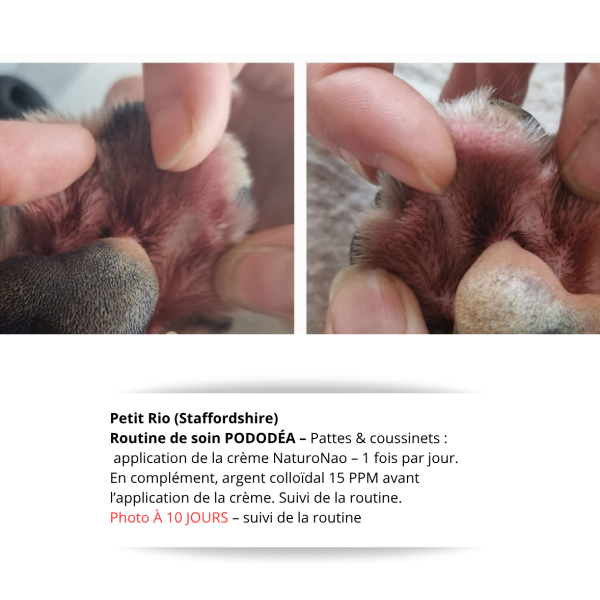 Témoignage PODODÉA – suivi de la routine pour pododermatite – à 10 jours