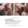 Témoignage PODODÉA – suivi de la routine pour pododermatite – à 10 jours