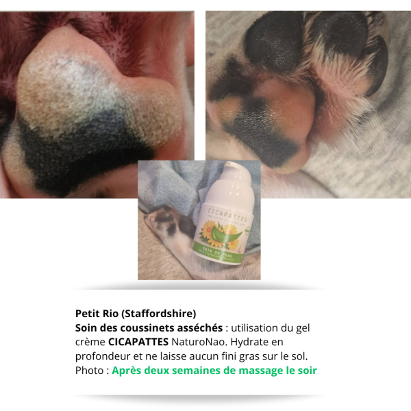 CICAPATTES™ Mousse (Chien)