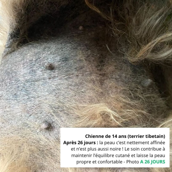 MALAZEN™ Équilibre (Chien)