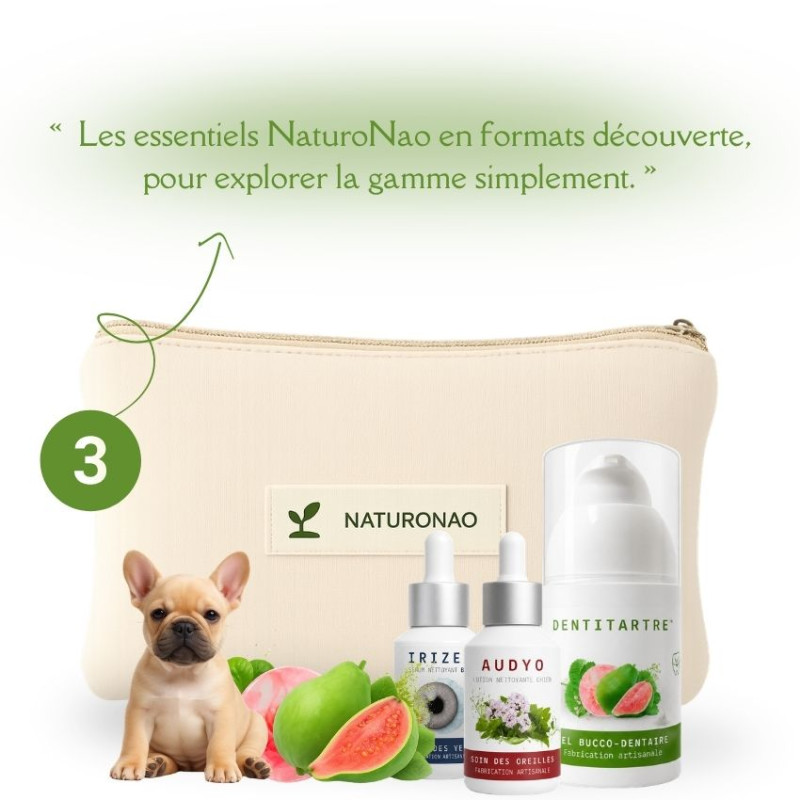 Pack Découverte Chien | Dents, Yeux & Oreilles