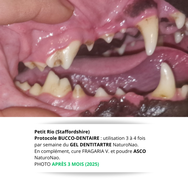DENTITARTRE Hygiène (Animaux)