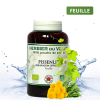 Pissenlit Chien & Chat – Phytospagyrie | NaturoNao