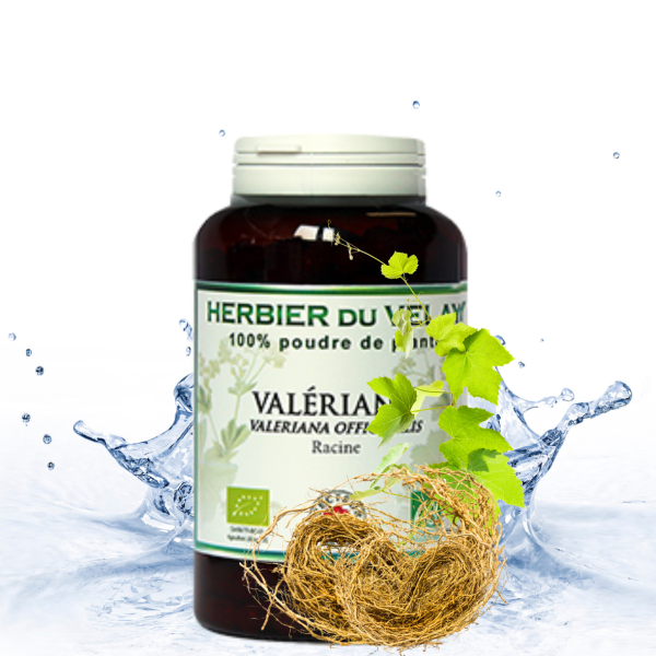 VALÉRIANE Phytospagy (Animaux)