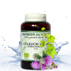 Chardon-Marie Chien & Chat – Phytospagyrie | NaturoNao