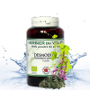 Desmodium Chien & Chat – Phytospagyrie | NaturoNao