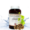 Coriolus Chien & Chat – Mycothérapie | NaturoNao
