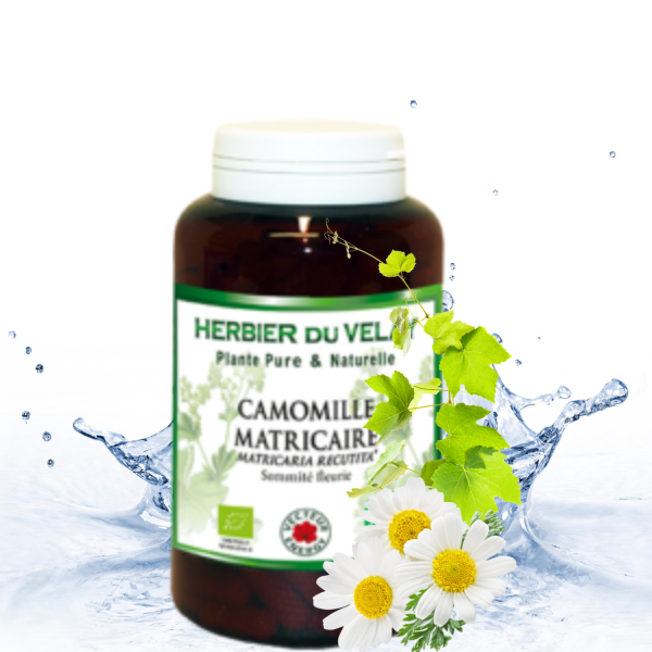 CAMOMILLE Phytospagy (Animaux)