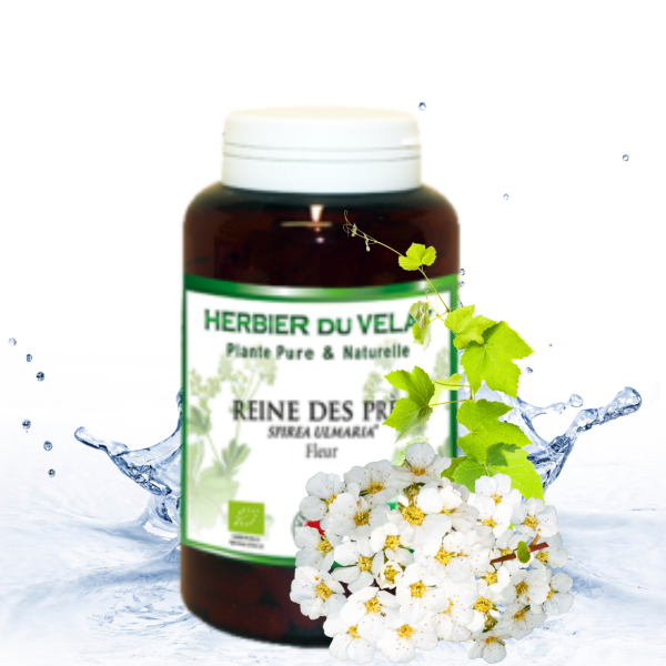 REINE PRÉS Phytospa (Animaux)
