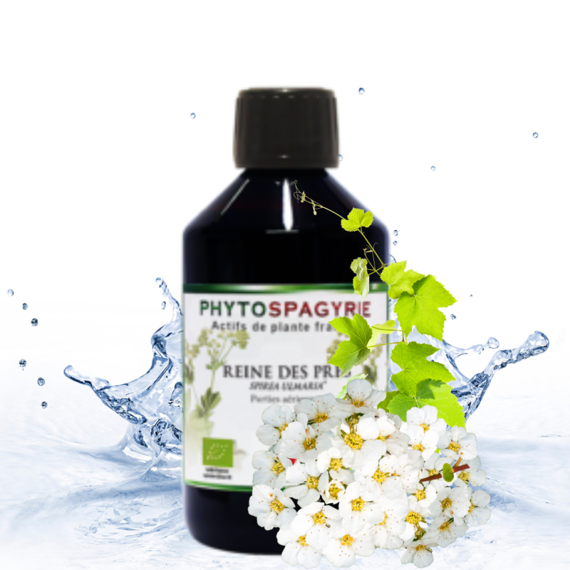 REINE PRÉS Phytospa (Animaux)