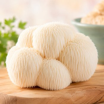 Pourquoi l'Hericium intrigue-t-il autant les chercheurs ? C'est ici !